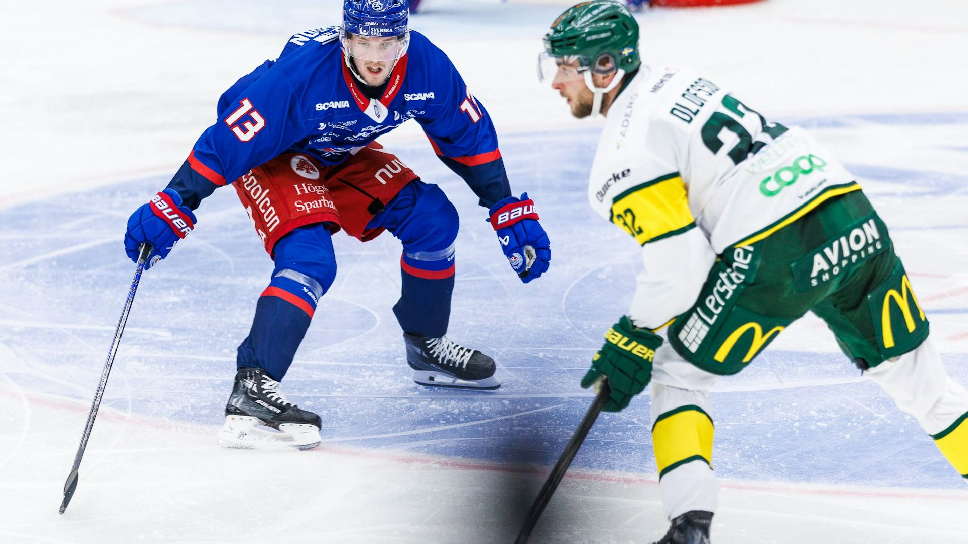 iko-björklöven 241023