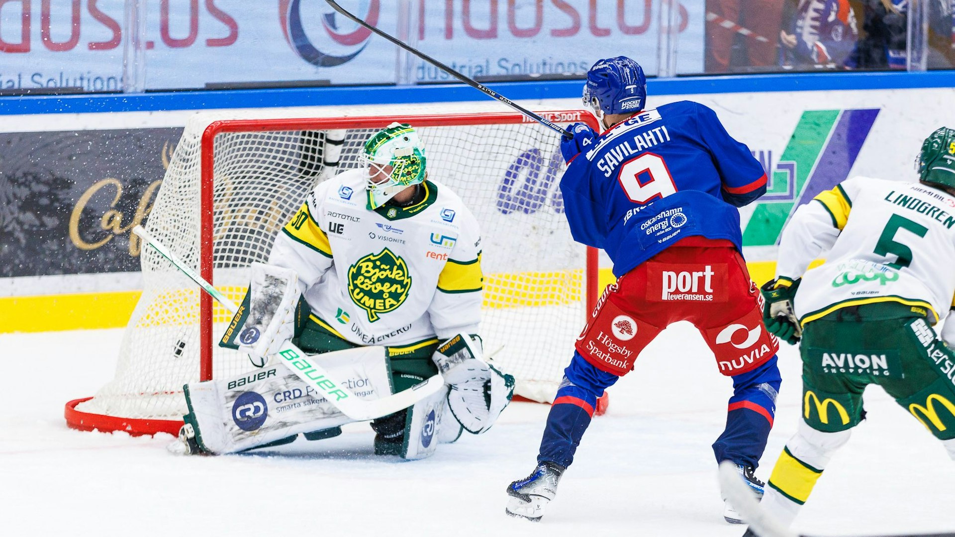 iko-björklöven 241023